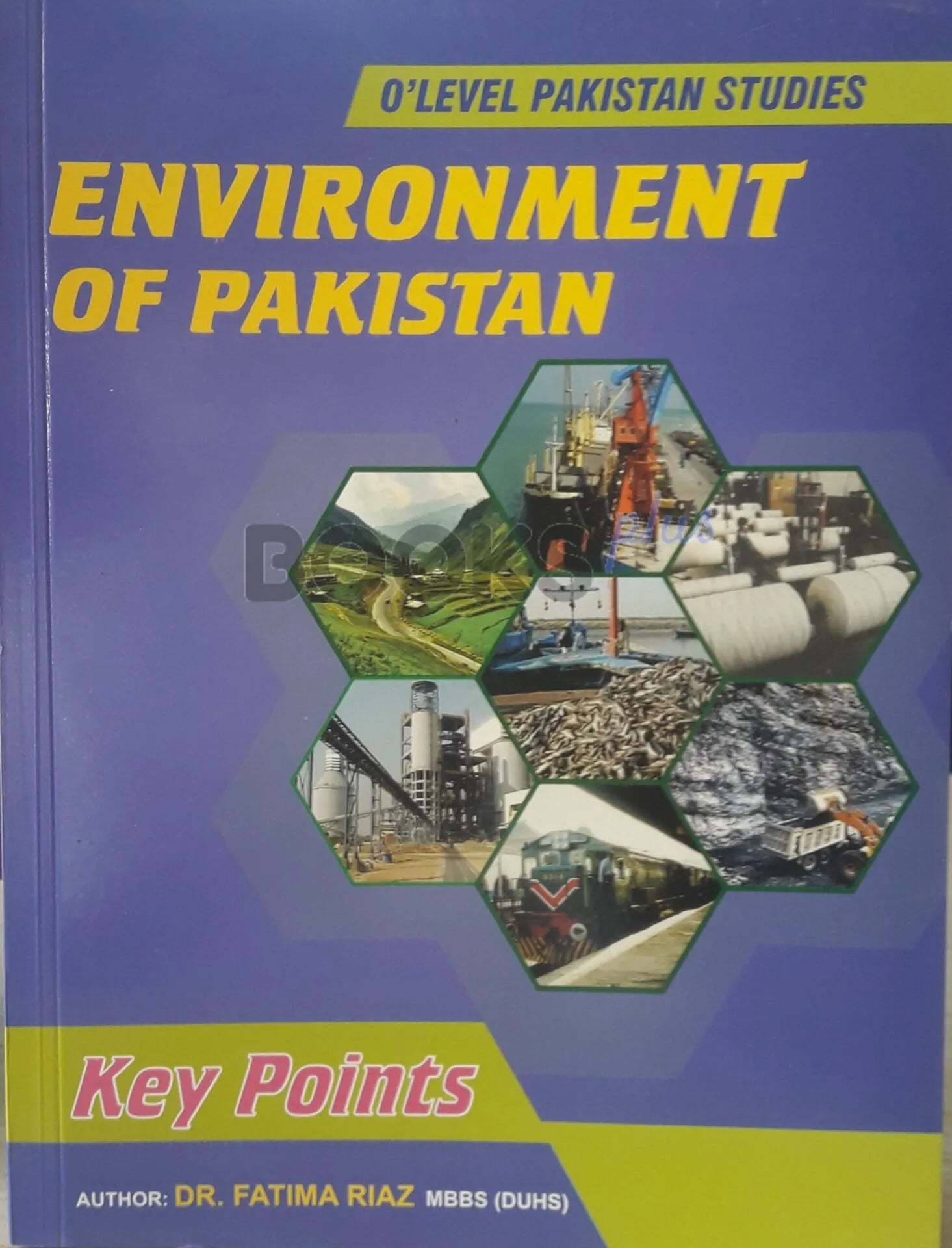 O Level Pakistan Studies Paper 2 Environment of Pakistan Key Points by Dr Fatima Riaz