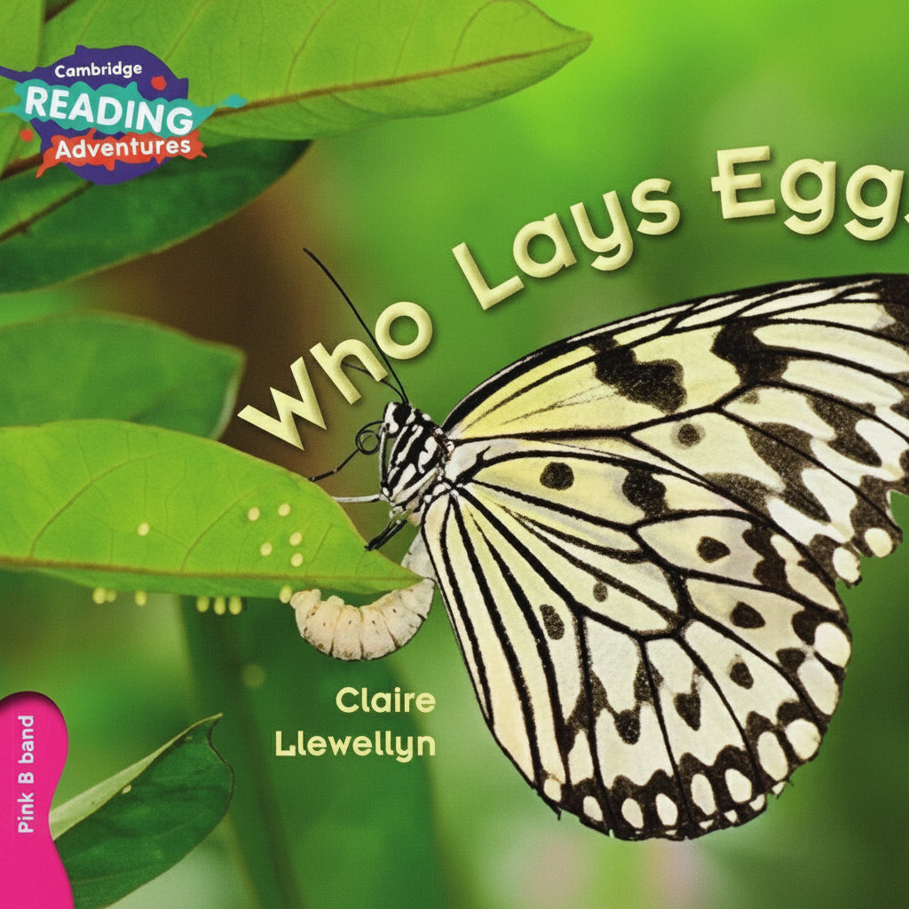 Who Lays Eggs? Pink B Band