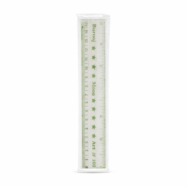 AMM MOON SCALE 6 INCH