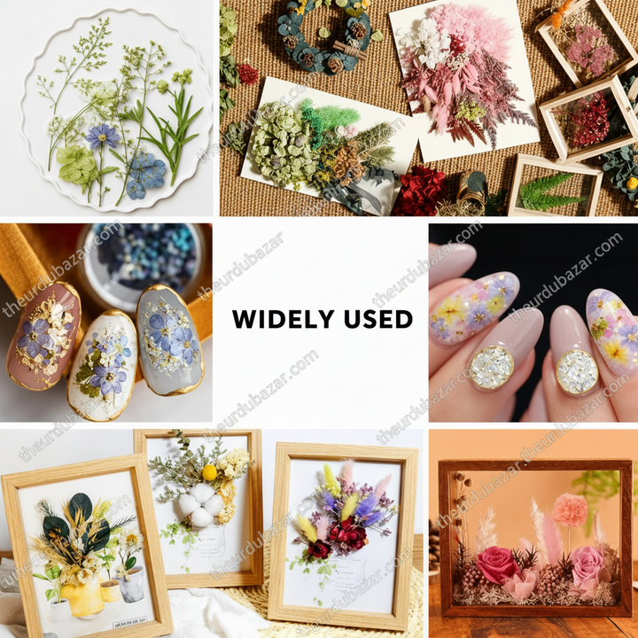Natural Dry Flower for Resin Art and Candle Making Decorations