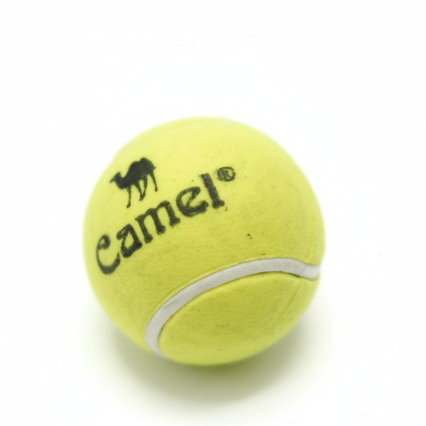 CAMEL CRICKET BALL ERASER NO. 2021