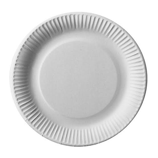 Disposable Plate | Disposable Serving Plate | Single Use Plate | Paper Disposable Plate [ 100 Pcs ]